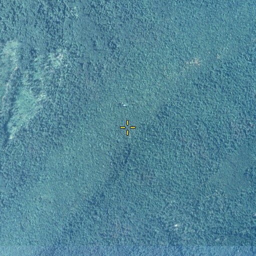 Aerial/Satellite Image of Pine Hill Trail, PA