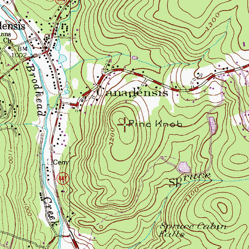 Topographic Map of Pine Knob, PA