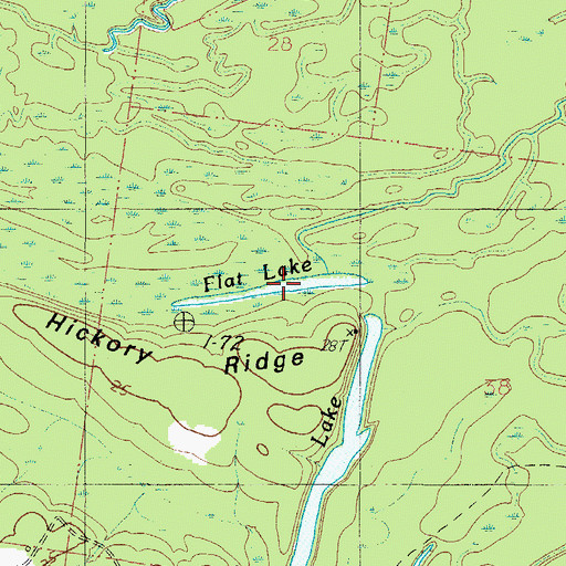 Topographic Map of Flat Lake, AL