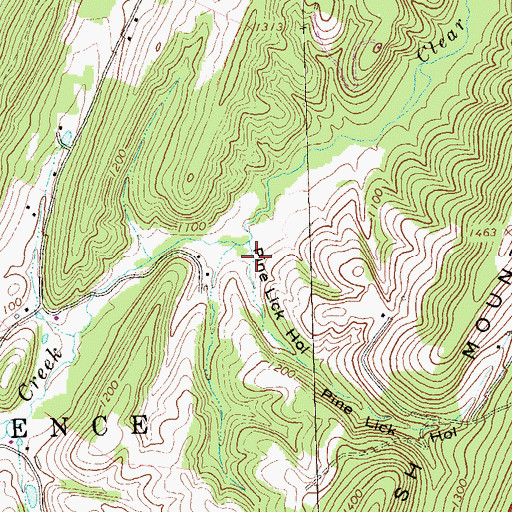 Topographic Map of Pine Lick Hollow, PA