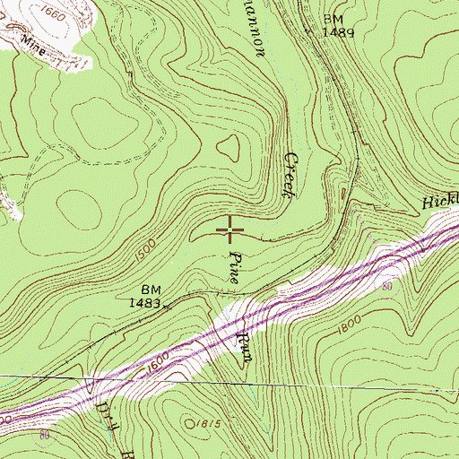 Topographic Map of Pine Run, PA