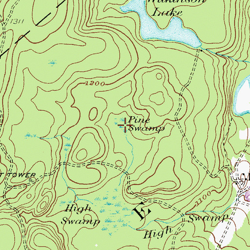 Topographic Map of Pine Swamp, PA