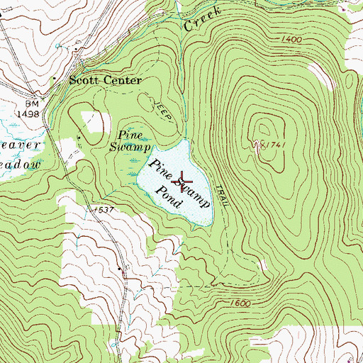 Topographic Map of Pine Swamp Pond, PA