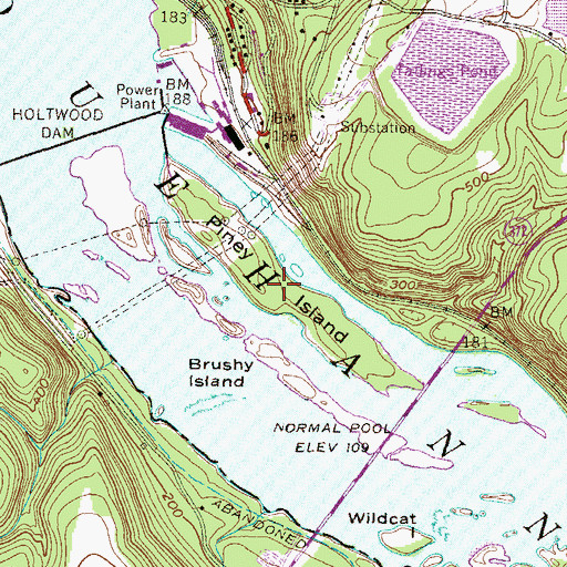 Topographic Map of Piney Island, PA