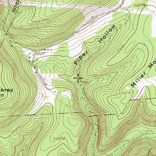Topographic Map of Piper Hollow, PA