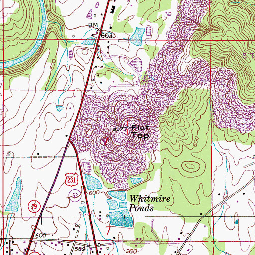 Topographic Map of Flat Top, AL