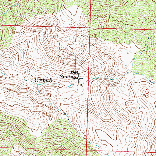 Topographic Map of Bee Springs, AZ