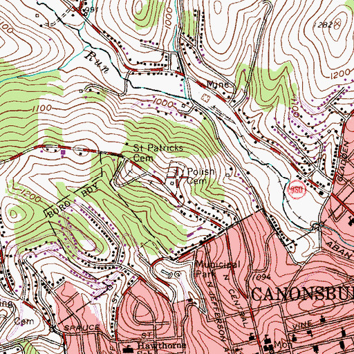 Topographic Map of Polish Cemetery, PA