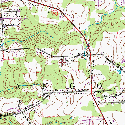 Topographic Map of Polish Cemetery, PA
