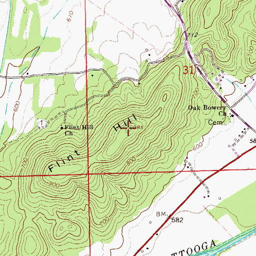 Topographic Map of Flint Hill, AL