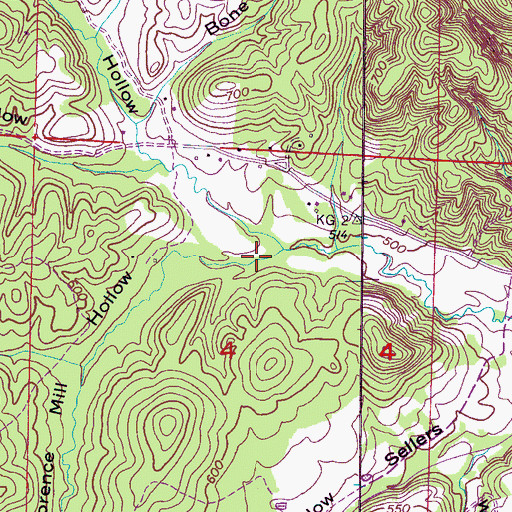 Topographic Map of Florence Mill Hollow, AL