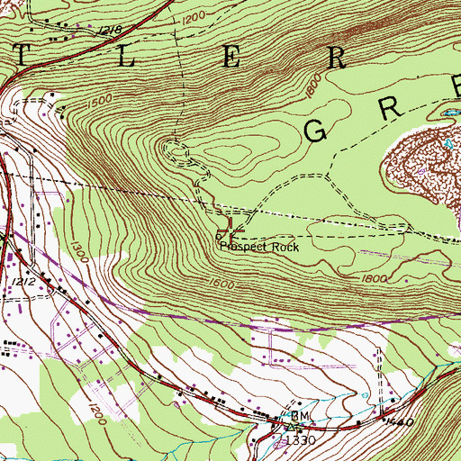 Topographic Map of Prospect Rock, PA