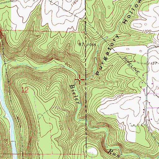 Topographic Map of Purgatory Hollow, OH