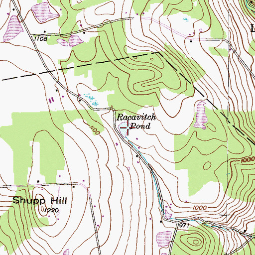 Topographic Map of Racavitch Pond, PA