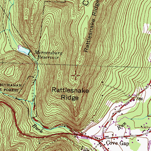 Topographic Map of Rattlesnake Ridge, PA