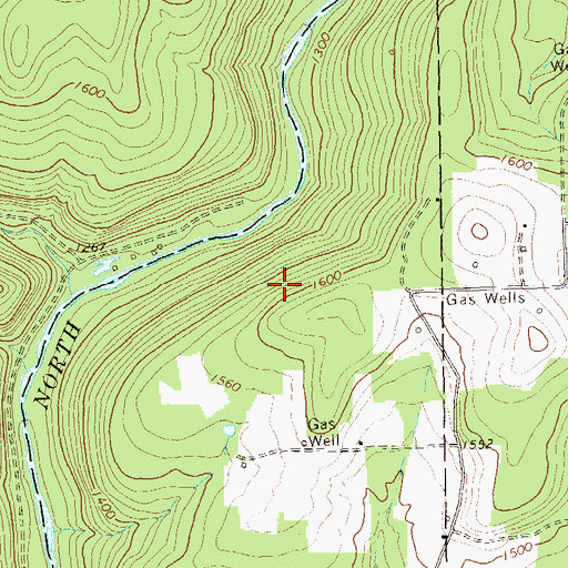 Topographic Map of Red Lick Run, PA