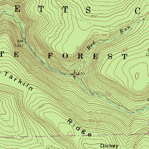 Topographic Map of Red Run, PA
