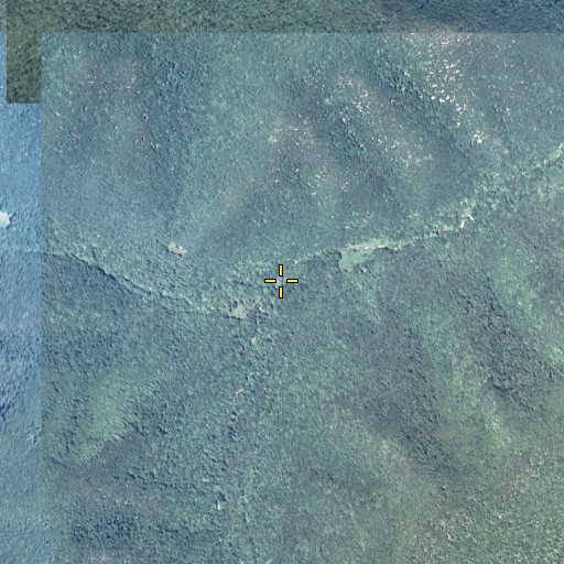 Aerial/Satellite Image of Red Run, PA