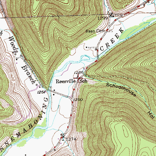 Topographic Map of Reesville School, PA