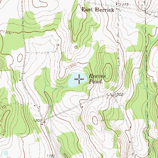 Topographic Map of Reeves Pond, PA