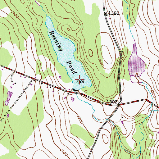 Topographic Map of Reining Pond, PA