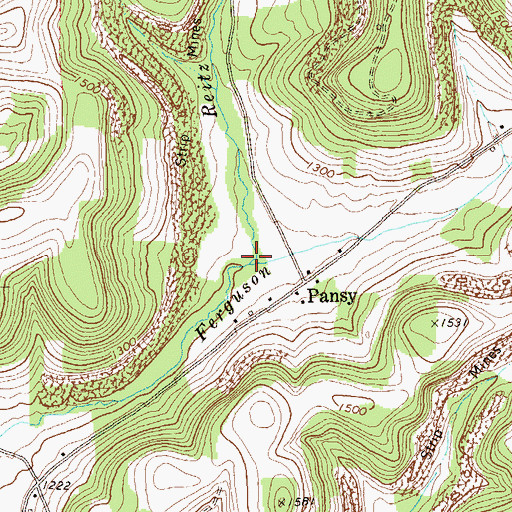 Topographic Map of Reitz Run, PA