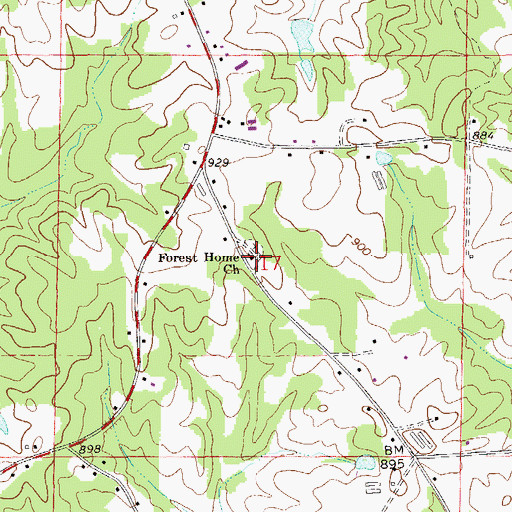Topographic Map of Forest Home Church, AL