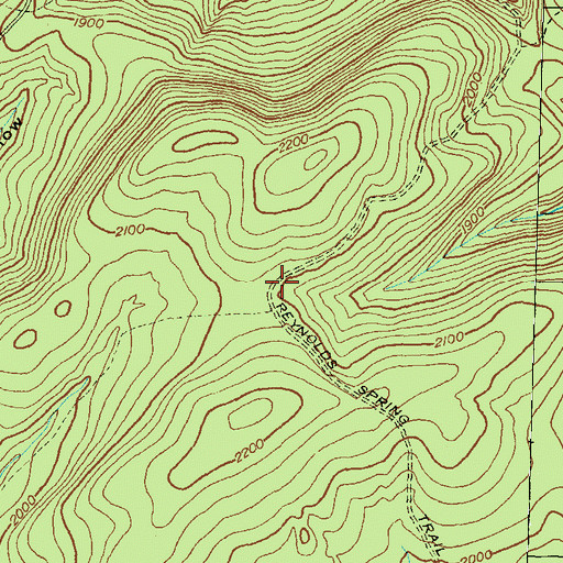 Topographic Map of Reynolds Spring Trail, PA
