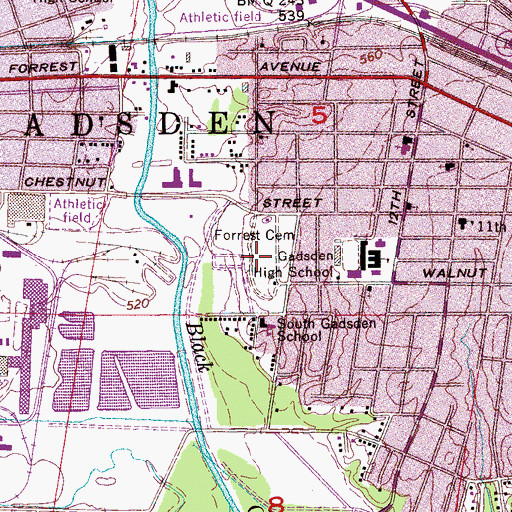 Topographic Map of Forrest Cemetery, AL