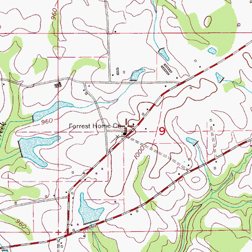Topographic Map of Forrest Home Church, AL