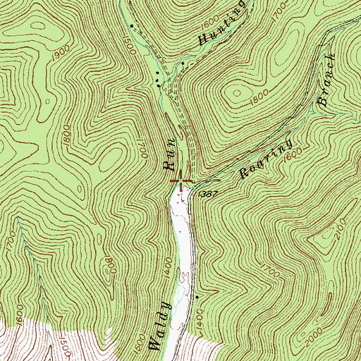 Topographic Map of Roaring Branch, PA