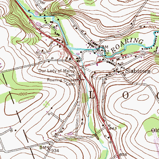 Topographic Map of Roaring Creek Cemetery, PA