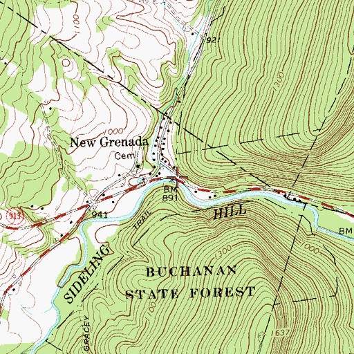 Topographic Map of Roaring Run, PA