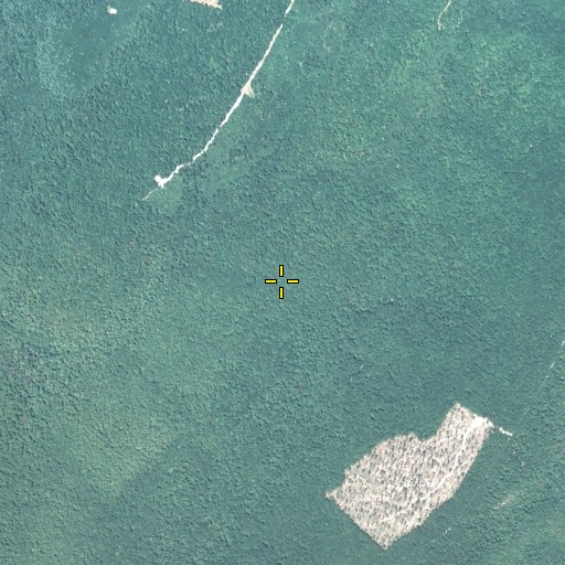 Aerial/Satellite Image of Roaring Run Trail, PA