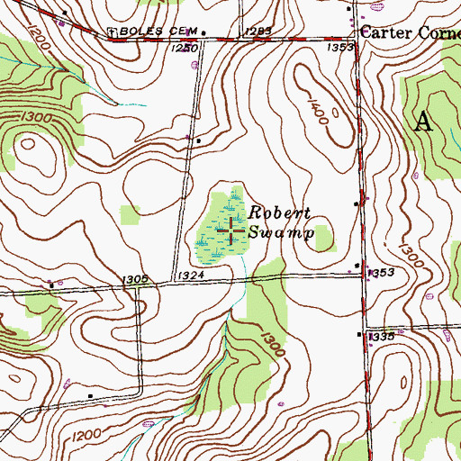 Topographic Map of Robert Swamp, PA
