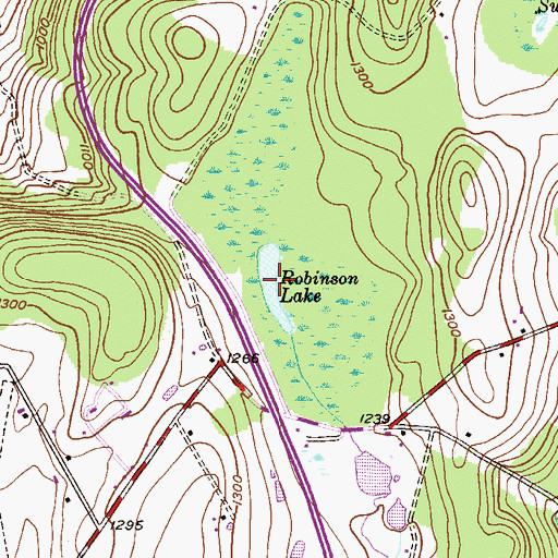 Topographic Map of Robinson Lake, PA