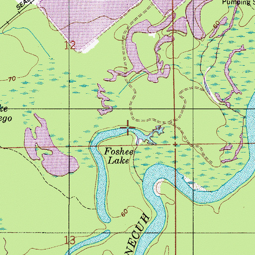 Topographic Map of Foshee Lake, AL