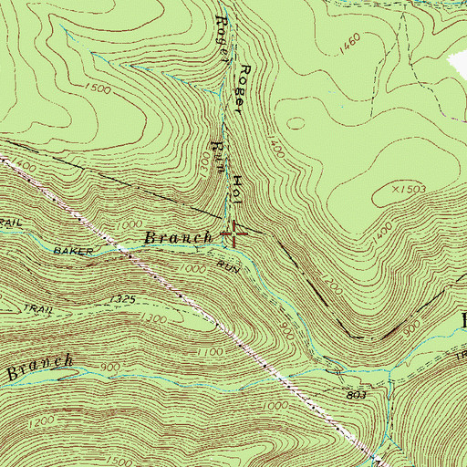 Topographic Map of Roger Run, PA