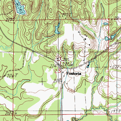 Topographic Map of Fostoria, AL