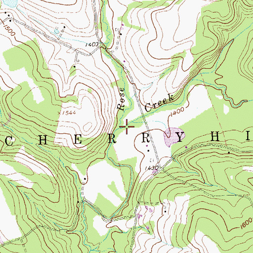 Topographic Map of Rose Run, PA