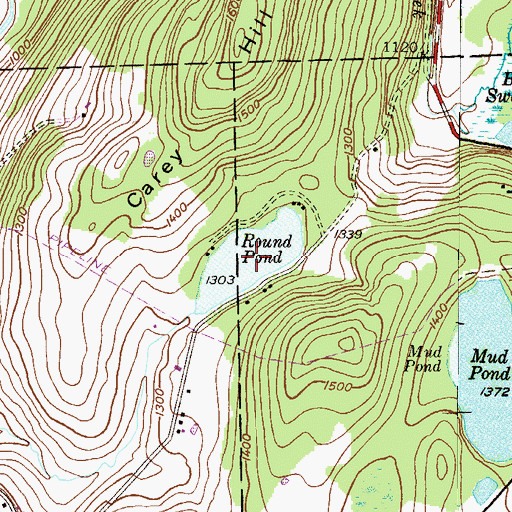 Topographic Map of Round Pond, PA