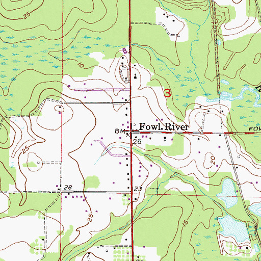 Topographic Map of Fowl River, AL