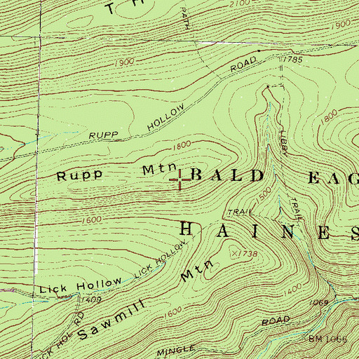 Topographic Map of Rupp Mountain, PA