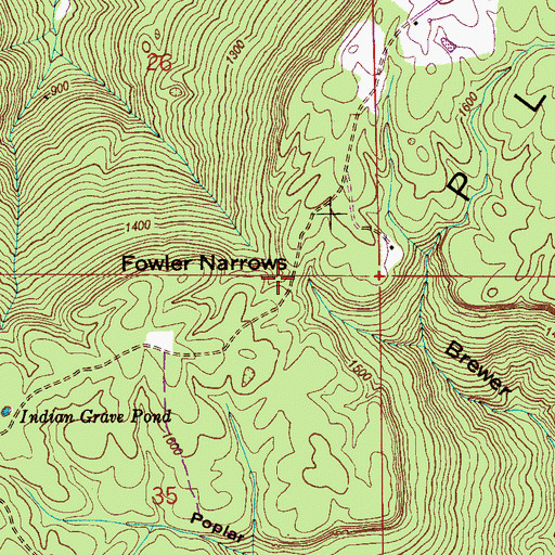 Topographic Map of Fowler Narrows, AL