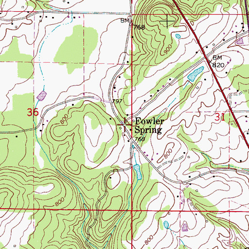 Topographic Map of Fowler Spring, AL