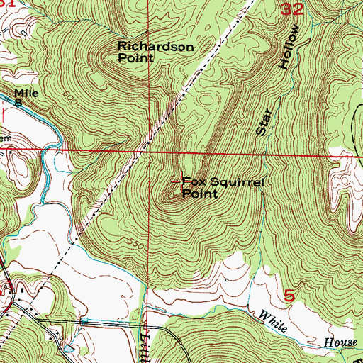 Topographic Map of Fox Squirrel Point, AL