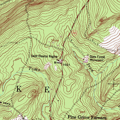 Topographic Map of Saint Eleanor Regina, PA