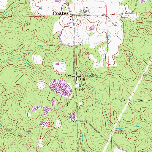 Topographic Map of Free Gift Church, AL