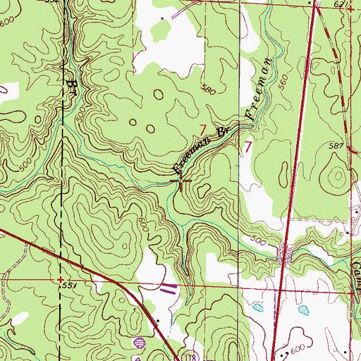 Topographic Map of Freeman Branch, AL