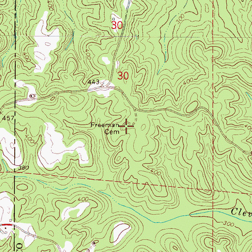 Topographic Map of Freeman Cemetery, AL